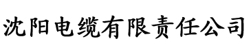 草莓在线观看免费电缆厂logo